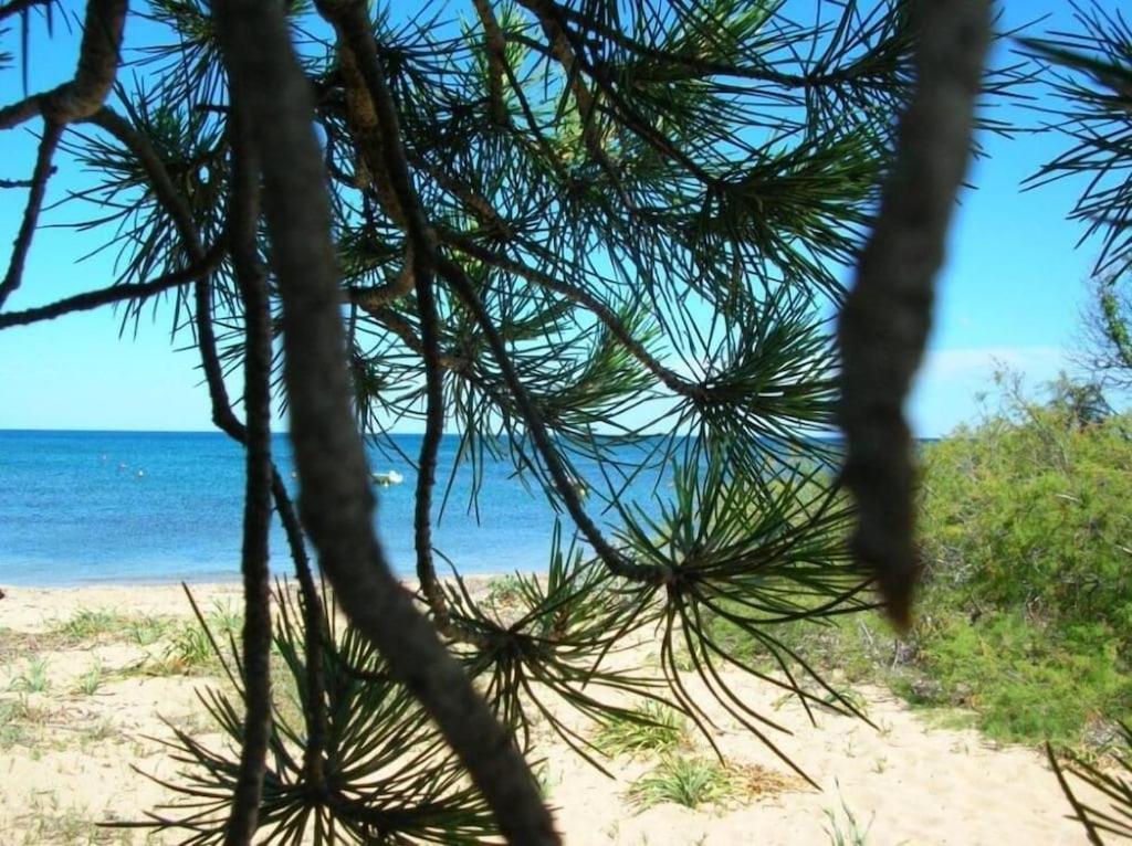 Willa La Culla Del Mare Budoni Zewnętrze zdjęcie