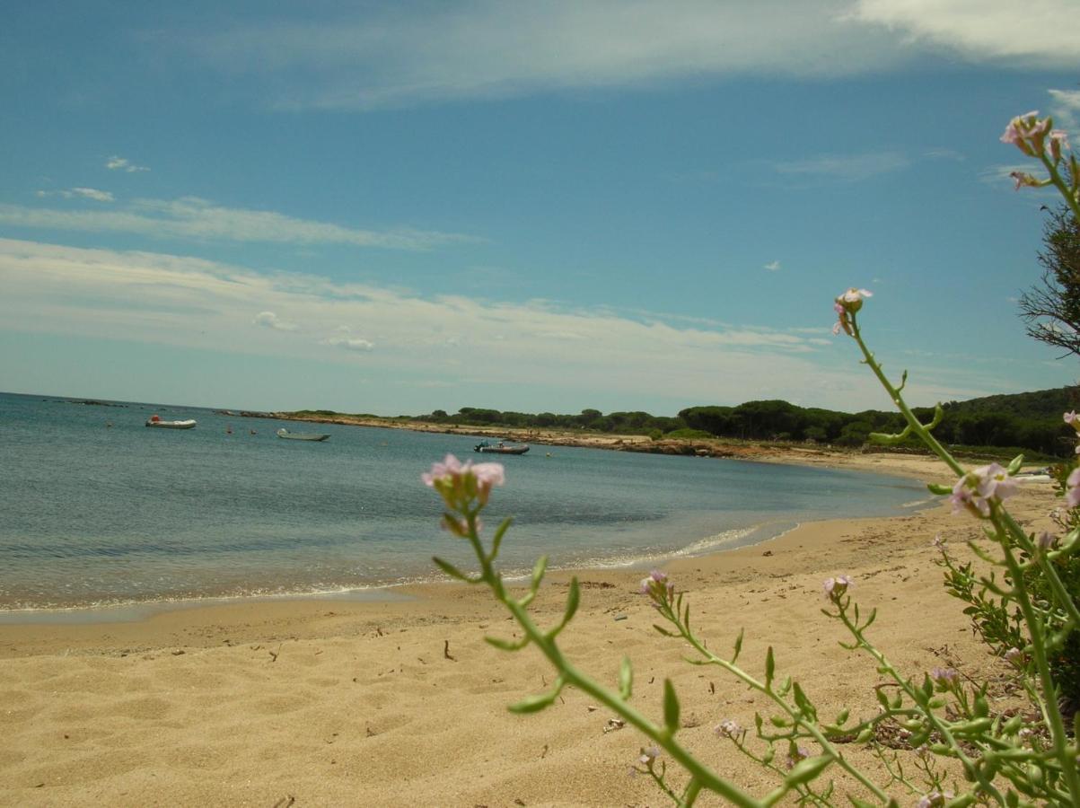 Willa La Culla Del Mare Budoni Zewnętrze zdjęcie